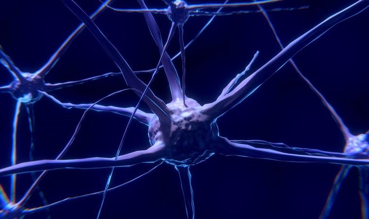 Beyinde zombi nöronlar var, ölümden sonra harekete geçiyor