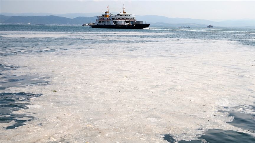 Marmara denizi musilaj öncesine dönmüş