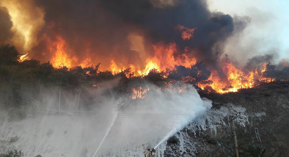 İtalya da alev alev, tam 800 yangın birden