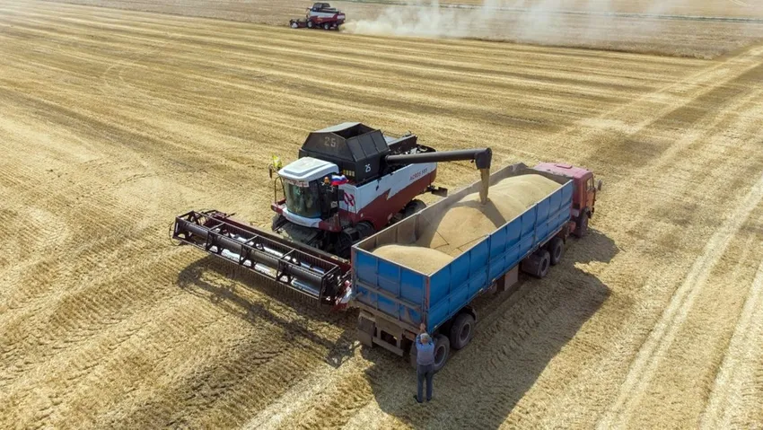 Küresel iklim değişikliği dünyanın buğdayını da vurdu