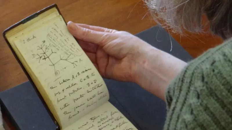 Darwin’in çalınan not defterleri 22 yıl sonra gizemli bir şekilde geri geldi