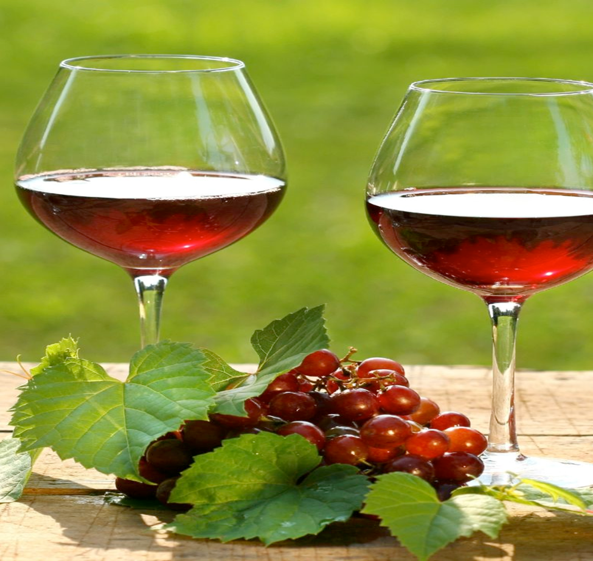 Bir zamanların şarap ülkesi Türkiye neden üretimde bu kadar güdük kaldı?