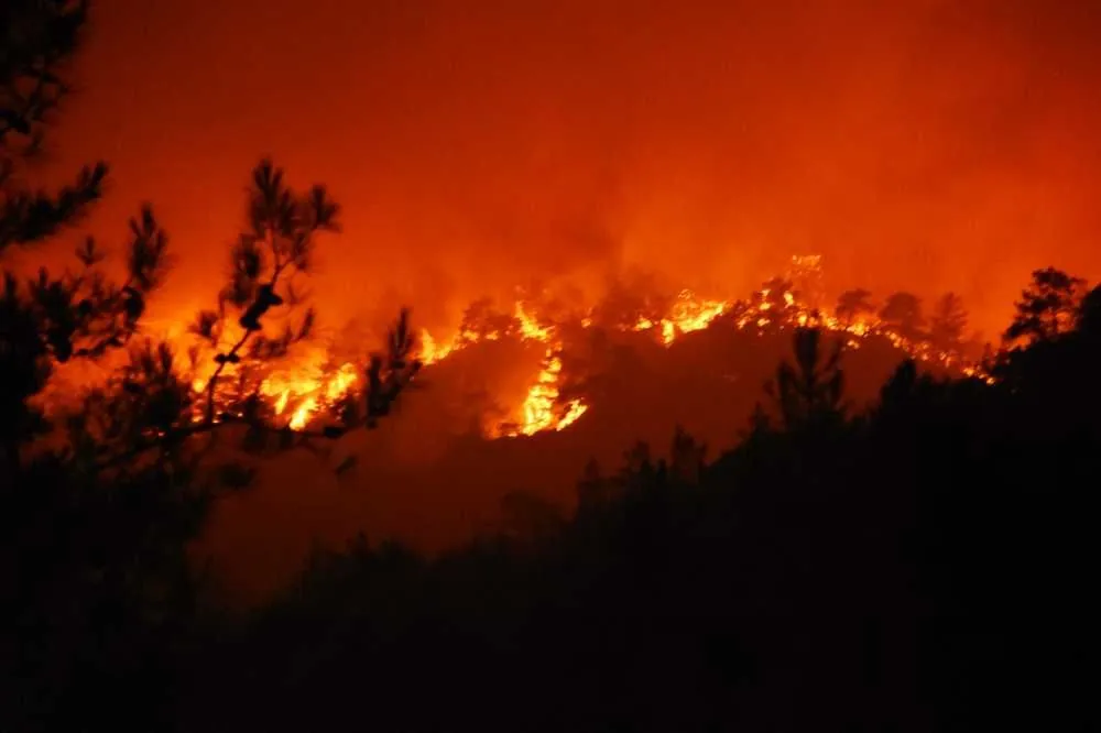 Bördübet ormanları yanıyor, insanın içi acıyor
