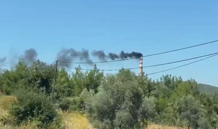 Türkiye Ulusal Enerji Planı açıklandı, kömürden çıkış yok