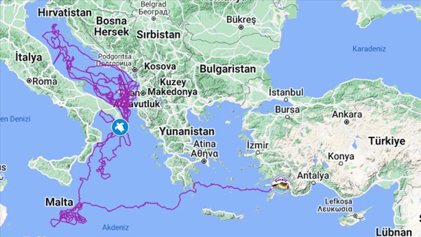 Tuba’nın 17 bin 500 kilometrelik yolculuğu