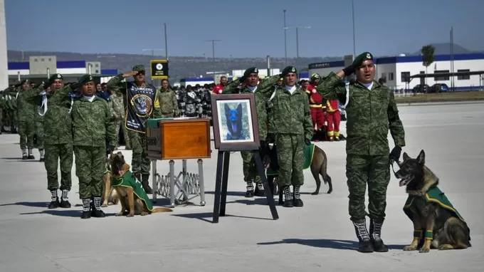 Ölen köpek Proteo için Meksika'da tören düzenlendi