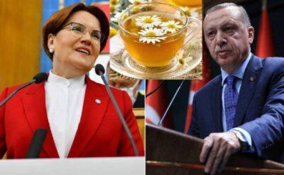 Siyasette çay polemiği: Erdoğan’a papatya Akşener’e rezene