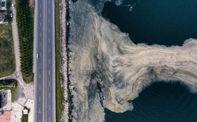 Marmara Denizi'nin müsilajla sınavı: Güneşi görünce yeniden ortaya çıktı