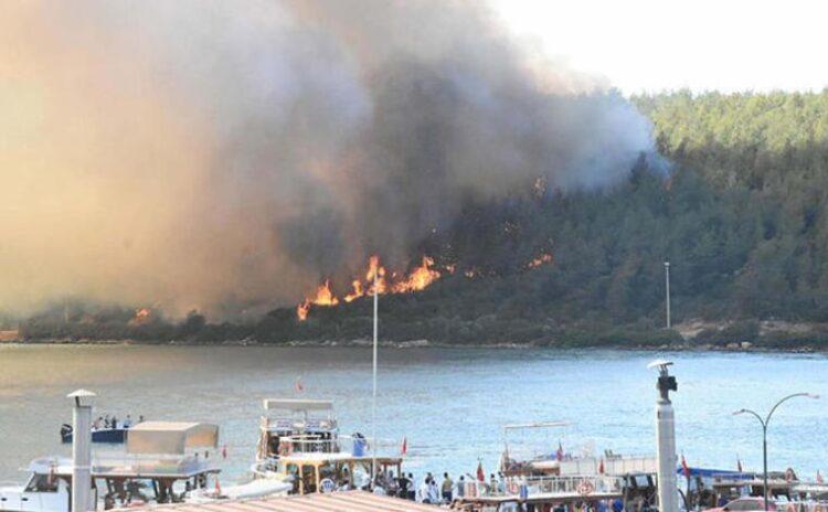 Telefonundaki fotoğraflar ve mesaj ele verdi: PKK'dan 100 bin lira almış, Bodrum'da ormanı yakmış