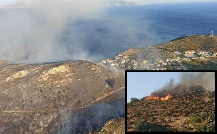 Datça'daki orman yangını korkuttu: 3 saat sonra güzel haber