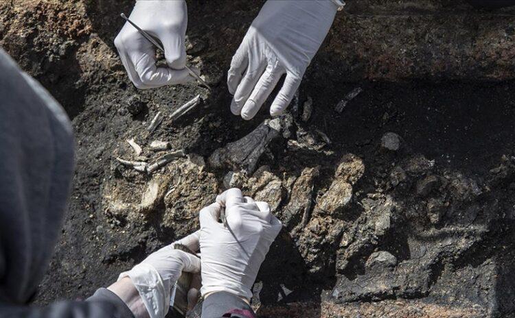 En eski mezarlık bulundu: Tarihi Homo sapiens'ten en az 136 bin yıl eski