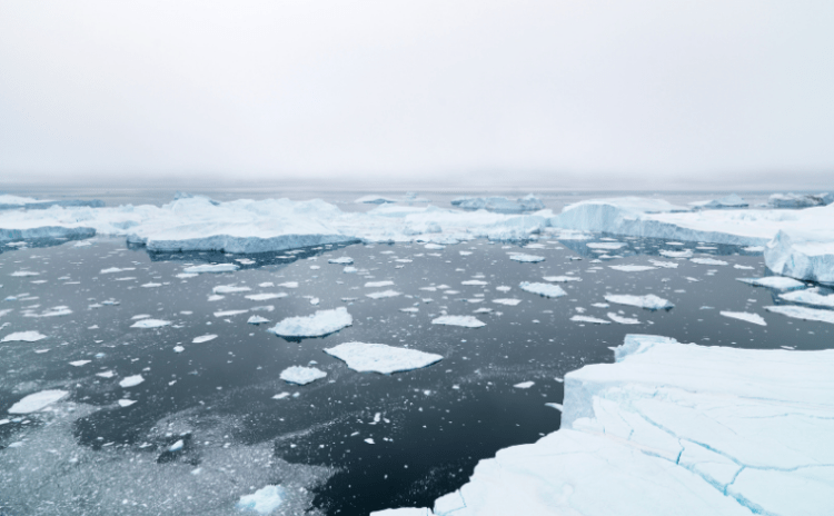 Korkutan araştırma: Arktik deniz buzunu görmediğimiz yazlar çok da uzak olmayabilir