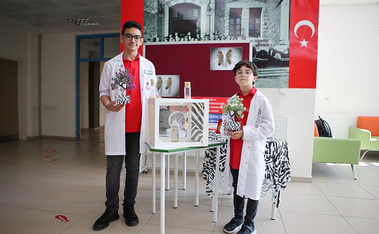 Yoksa kurtuluyor muyuz: Ortaokul öğrencilerinden sineklere karşı 'Zebra' desenli çözüm