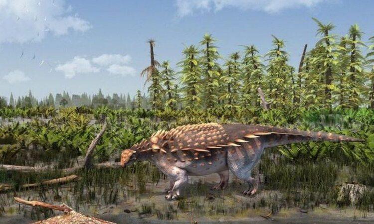 Yeni dinozor türümüzle tanışın: Vectipelta baretti