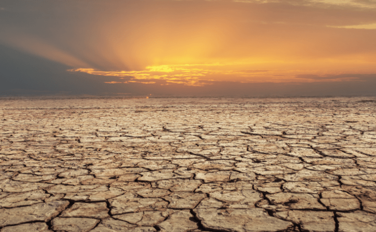 İklim uzmanından zengin ülkelere çağrı: Ülkeler felaketlerde boğuluyor