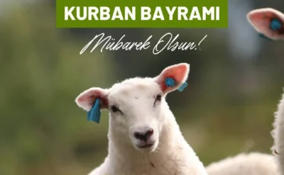 Bayramınız kutlu mu olsun, mübarek mi?