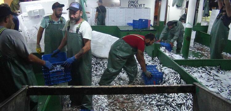 İddia: Müsilaj, Marmara'daki 64 balık türünü 4'e düşürdü