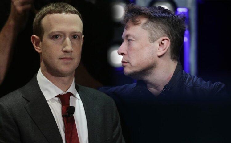 Kafes dövüşü oldu söz dalaşı: Zuckerberg, Musk'a tavrını koydu, 'Ciddileşince gel' dedi