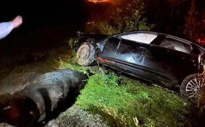 Tır devrildi, hayvanlar yolda dağıldı, AK Parti Grup Başkanvekili kazada yaralandı