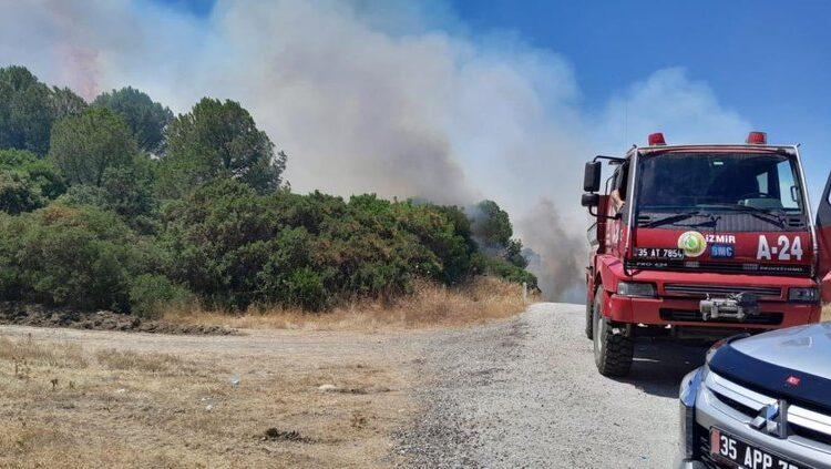İzmir'de iki ayrı yangın: Ormanlık alana konteyner koymak istediler, dikkatsizlikleriyle ormanı yaktılar
