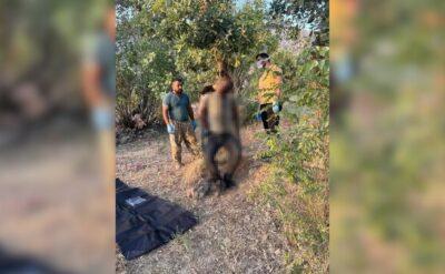 Şırnak’ta ağaca asılmış, işkence görmüş erkek cesedi bulundu