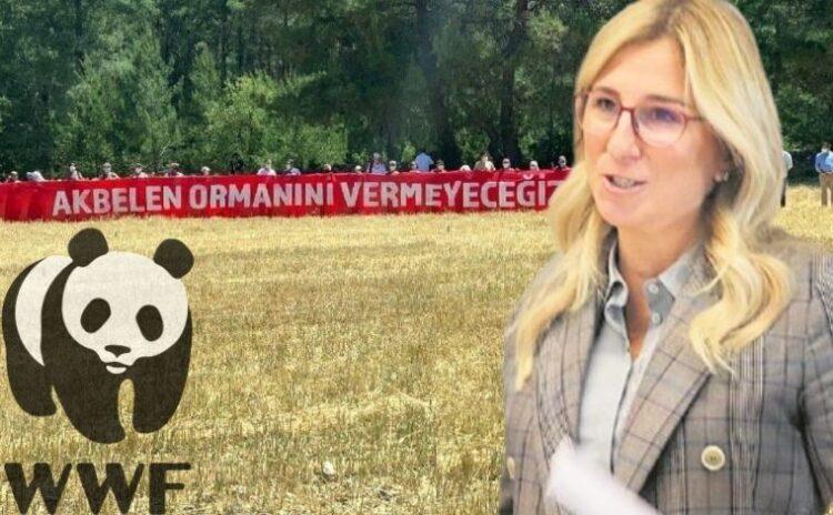 Doğal Hayatı Koruma Vakfı, Akbelen'de ormanı kesen Limak'ın patroniçesi Ebru Özdemir'i yönetimden istifaya zorladı