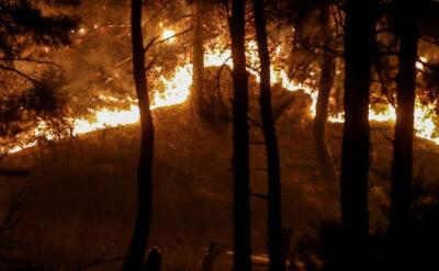 Çanakkale hala yanıyor: 8 köyü etkiledi