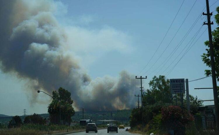 Bodrum'da makilik alandaki alevler ormanı yaktı, iyi haber saatler sonra geldi