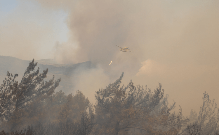 Rodos 6 gündür orman yangınlarına teslim: 19 bin kişi tahliye edildi