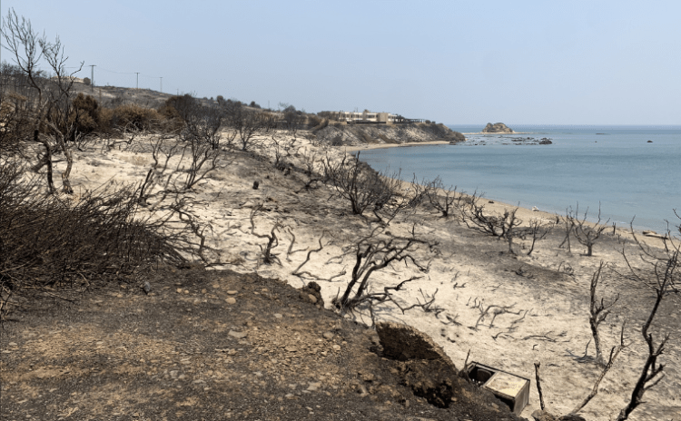 Yunanistan'dan turistlere: Yangın yüzünden tatili bölünenlere 1 hafta ücretsiz tatil