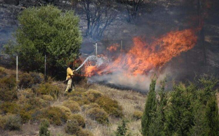 Antalya'da iki ilçede yangın: İzmir'de 25 hektar alan zarar gördü