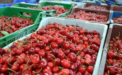 Türkiye, sebze meyve ihracatında 7 ayda 2 milyar dolara dayandı