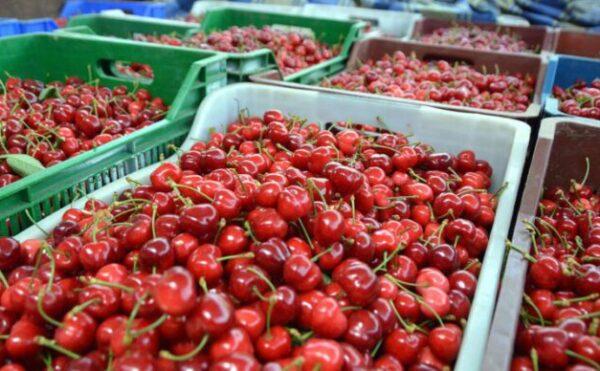 Türkiye, sebze meyve ihracatında 7 ayda 2 milyar dolara dayandı