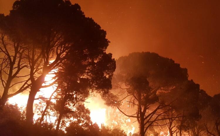Orman yangınları iki şehirde daha kendini gösterdi