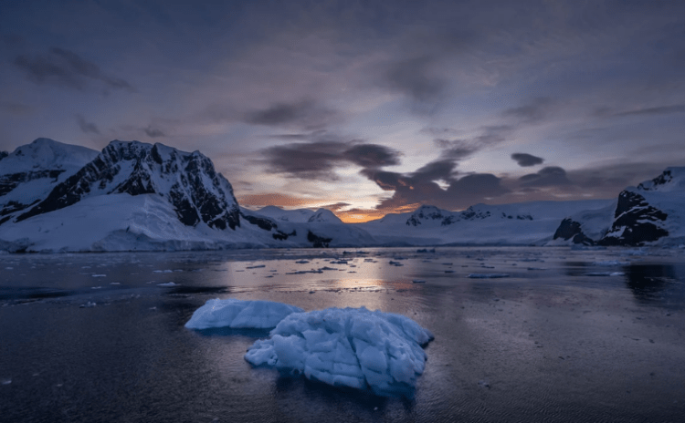 Antarktika bu yıl Arjantin büyüklüğünde deniz buzu kaybetmiş