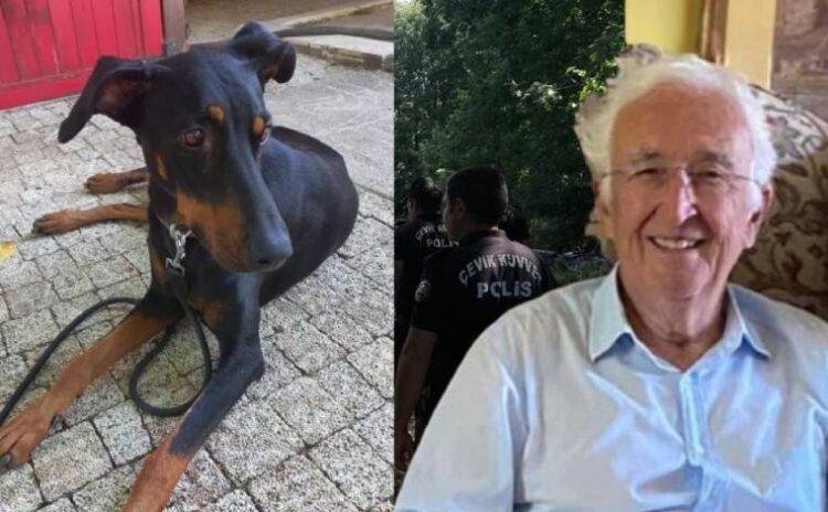 Kayıp ekonomist Berzeg vakasında bir umut: Köpeği 74 gün sonra eve döndü!