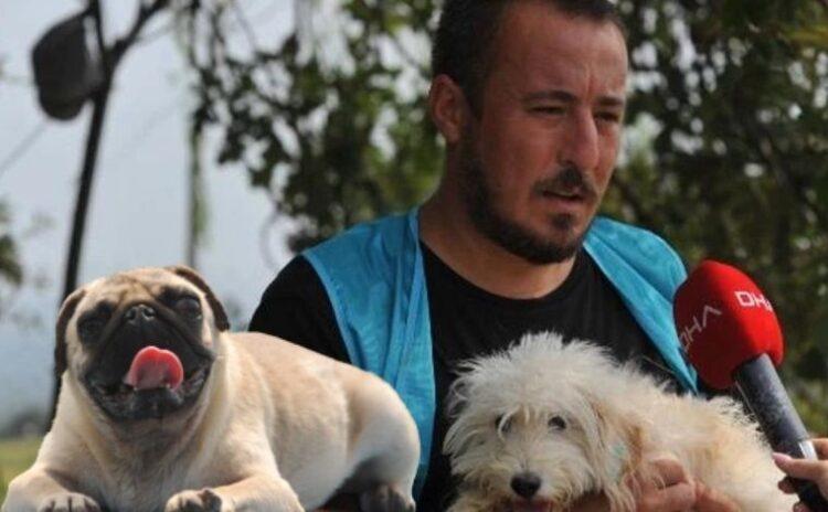 Damızlık olarak kullanılıp sokağa atılan cins köpekler yuva bekliyor