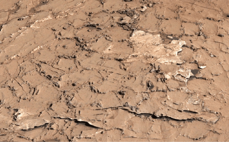 Bilim heyecanlandı: Altıgen çatlaklar Mars'ta mikro yaşamın olası işareti