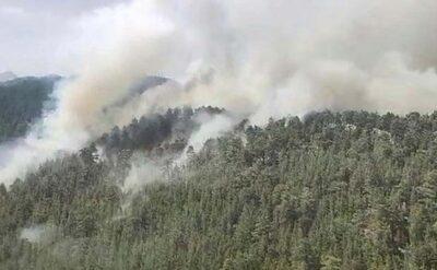 Korkutan orman yangınları kontrol altına alındı