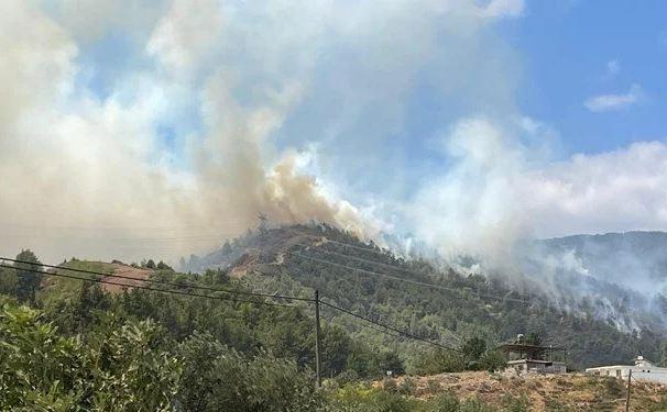 Hatay ve Balıkesir'deki orman yangınları: Sabotaj suçlamasıyla 4 kişi yakalandı