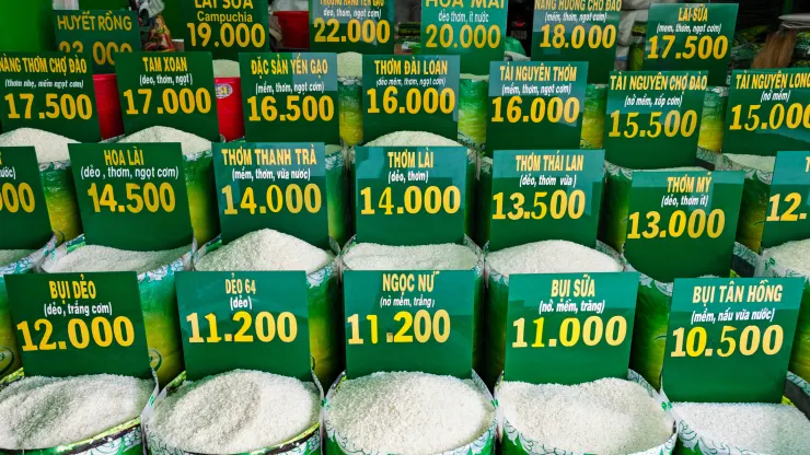 Pirinç kıtlığı kapıda: Hindistan'dan ihracata kısıtlama geliyor