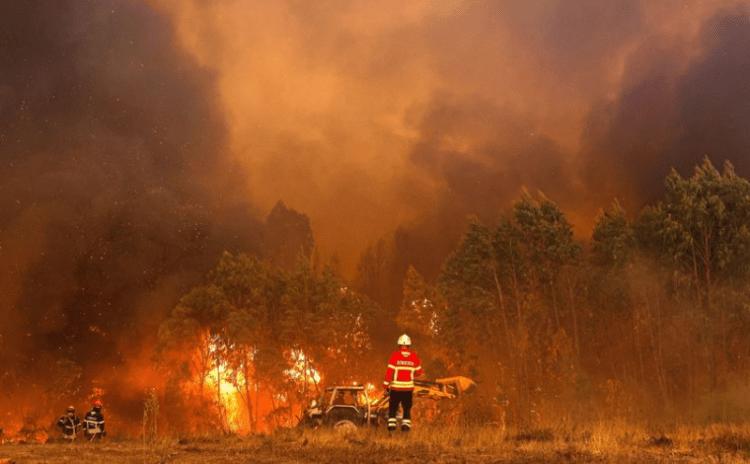 Portekizde orman yangını: 1400 kişi tahliye edildi
