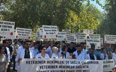Veterinerler birçok ilde eylem yaptı; Kılıçdaroğlu Twitter’dan ‘yanınızdayız’ dedi
