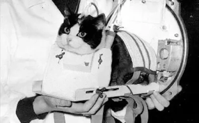 60 yıl önce bu zamanlar: İlk ve son ‘uzay kedisi’ Felicette ile tanışın