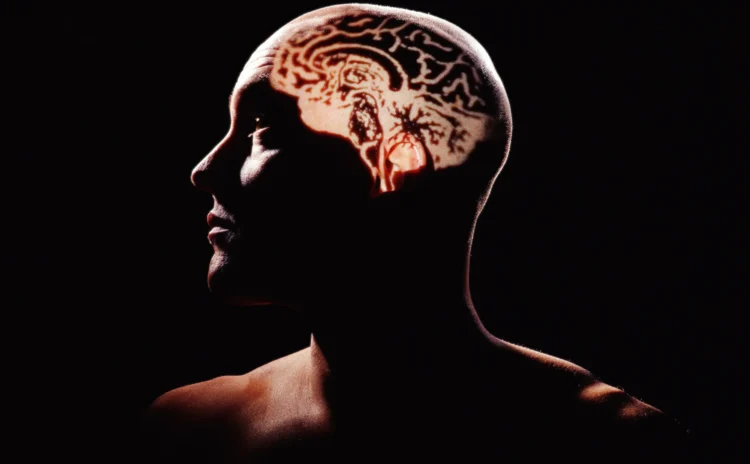 Beynimizi hiç tanımadığımız ortaya çıktı: Beyin basit bir organ değil, başlı başına bir organizma gibi