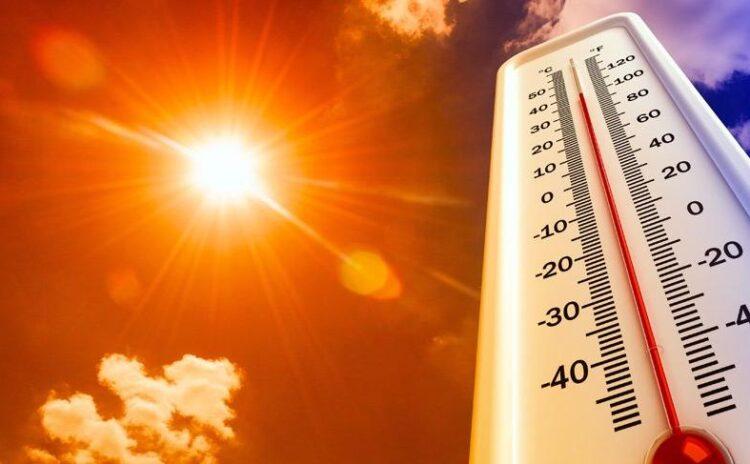 125 bin yılın en sıcak yılını yaşamış olabiliriz