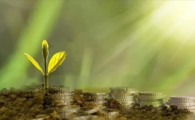 Yeşil dönüşümün finansmanı için Türkiye Yeşil Fonu geliyor