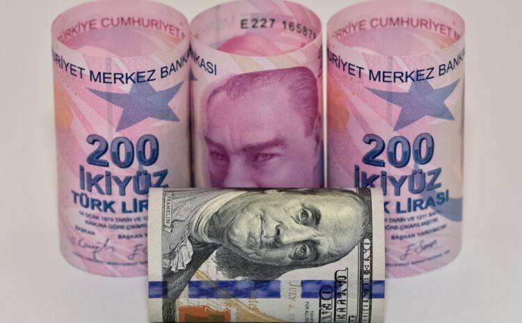 Tefeci mi yabancı yatırımcı mı? Ve 2024’te gelecek mi?