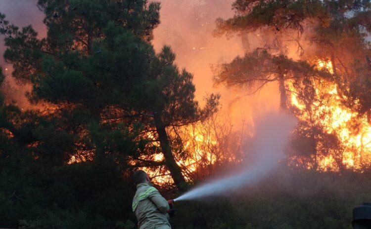 Çanakkale, Balıkesir ve Muğla'da ormanlar yanıyor