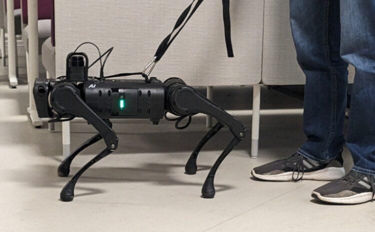 Görme engelliler için robot köpek